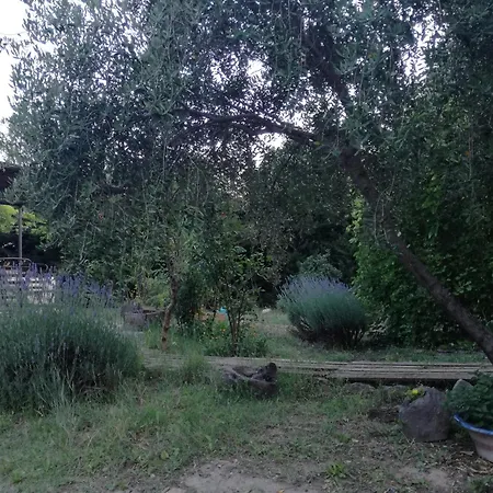 Holiday home Casa Con Jardin Y Aparcamiento En Viznar, Junto A Granada Viznar