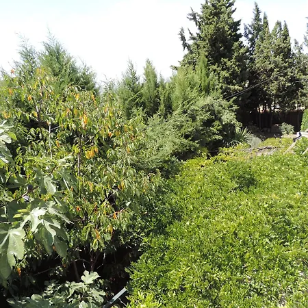 Casa Con Jardin Y Aparcamiento En Viznar, Junto A Granada * Víznar